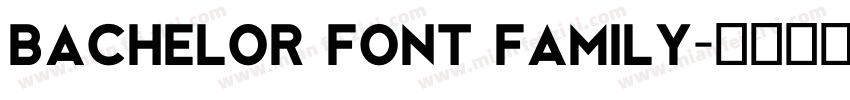 Bachelor Font Family字体转换
